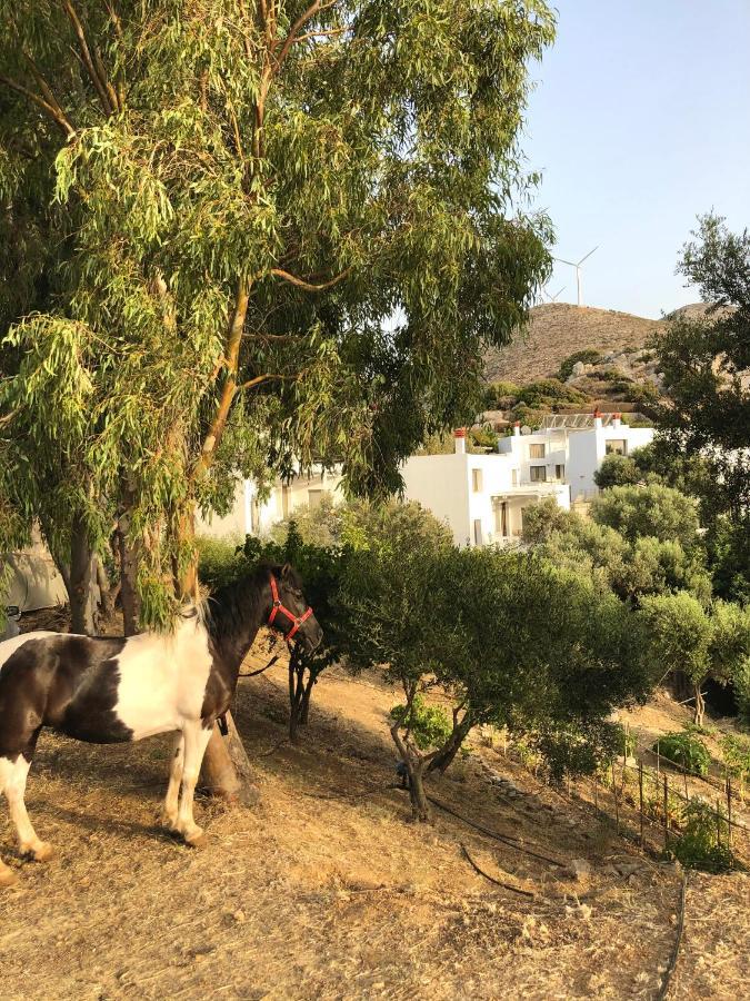 Mourtzanakis Residence - Traditional Eco Hotel In Akhládha Extérieur photo